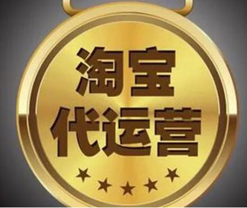 解锁海口电商新未来——打造你的专属电商服务选购指南